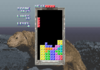 Sega Tetris Ingame.png